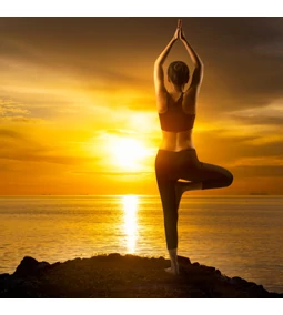 Yoga im Überblick – ein altes System für modernes Gleichgewicht + Anfängerleitfaden