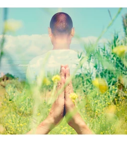 Traditionelle ayurvedische Heilpflanzen – die Intelligenz der Natur aus yogischer Sicht